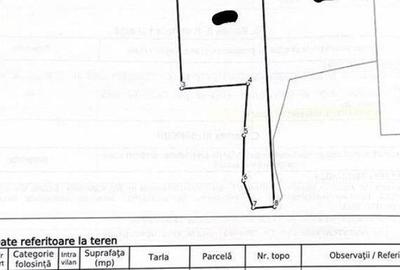 Teren Filipeni, Padure, ID: R2388724 - 5