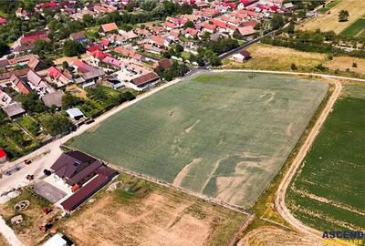 FILM! 1.100 mp teren intravlan in Maierus, Brasov - 1