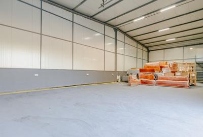 Hala industriala de inchiriat | 340 mp | Navodari - 2