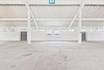 Hale 1800 mp fiecare – acces autostradă, Teiu, HD - 7