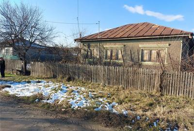 Casă în Fierbinți-Târg - 2