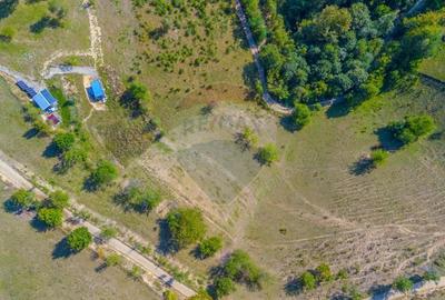 Teren extravilan 6,014mp | Holbav | BRASOV | COMISION 0| - 3