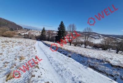 De vânzare teren extravilan în Vama Buzăului! - 5