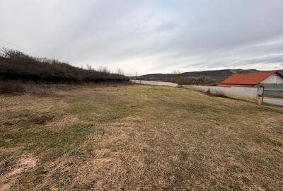 Teren de 1863 mp, în Vest - 1