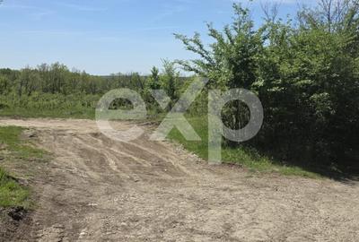 Teren Construcții intravilan de 3015 mp, în Moșoaia - 5