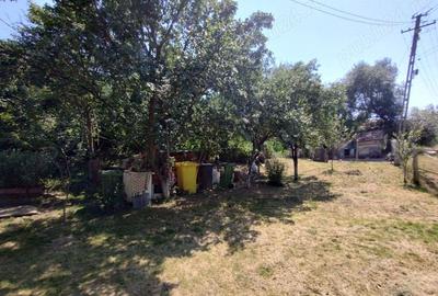 Casă cu 3 camere cu Teren 1400 Mp în Central - 5