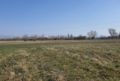 Spațiu comercial, în Coaș - 3