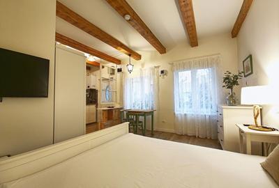 Casa 2 apartamente, ultrafinisate,mobilate la cheie, Horea zona Urania - 6