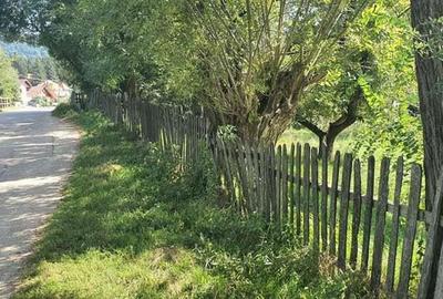 Teren Poienari la doar 9 km de Cetate - 1