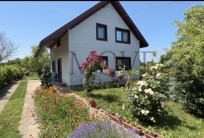 Casă individuală cu 4 camere cu Teren 3000 Mp în Belciugatele - 1