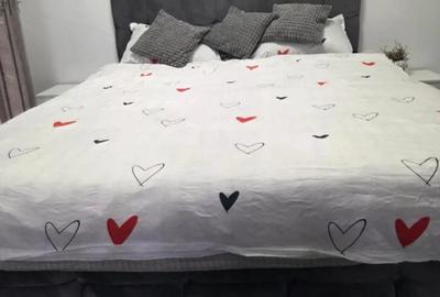 Apartament plus studio (garsoniera) ambele au intrari separate! - 4