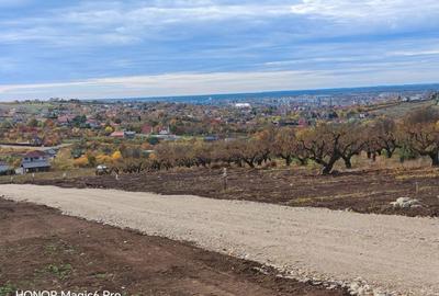 Spațiu comercial, în Săldăbagiu de Munte - 2