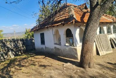Casa si pamant agricol de vanzare - 8