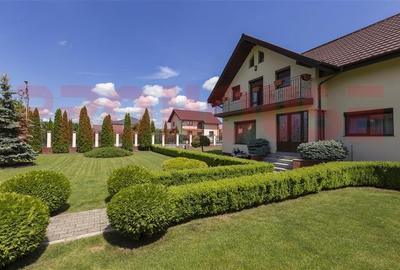 Domeniu superb: vila S+P+M si terenul aferent - 4