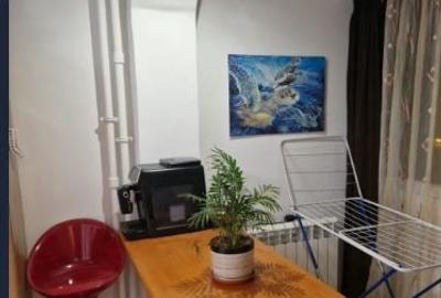 Garsonieră semidecomandată, mobilată în Doamna Ghica - 10