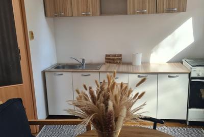 Garsonieră semidecomandată în Lipovei - 5