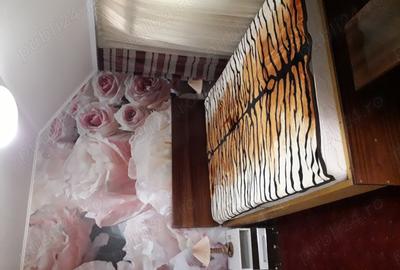 Casă cu 4 camere cu Teren 1000 Mp în Sunători - 7