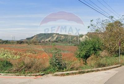 Teren Construcții intravilan de 15938 mp, în Nord-Vest - 5