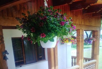 Casă cu 5 camere cu Teren 650 Mp în Breaza de Sus - 1