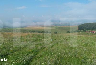 Teren de 1000 mp, în Ciurila - 2