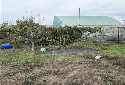 Teren 475 mp cu Vedere la Lac, in zona Primariei Teren 475 mp cu Vedere la Lac, in zona Primariei - 4