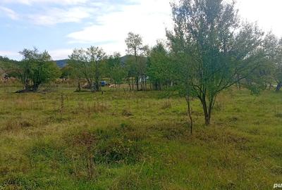 Casă cu 4 camere în Ilteu - 2