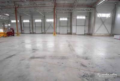 Hale depozitare langa autostrada - 9