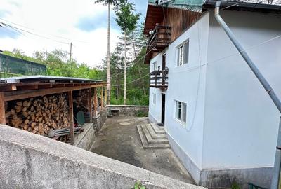 Csa de vânzare in pădure, în Moroeni, Dâmbovița - 16