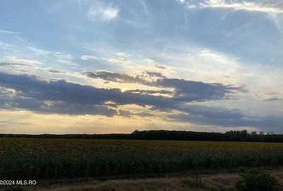 Tamasi, langa padure, 12.824 mp, deschidere 45 ml, teren cu potential! - 12