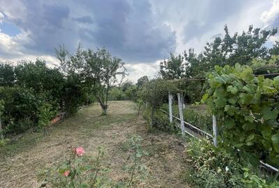 Casa | 9 camere | Garaj | Piscina | Teren 3.000 mp | Comision 0% Casa | 9 camere | Garaj | Piscina | Teren 3.000 mp | Comision 0% - 38