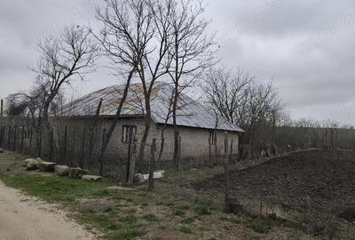 Casă cu Teren 1700 Mp în Băbăița - 5