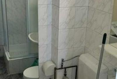 Pet friendly! Garsoniera spatioasa, zona centrala, Brasov - 7