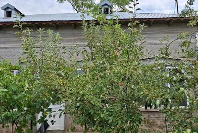 Casă cu 6 camere în Ștorobăneasa - 2