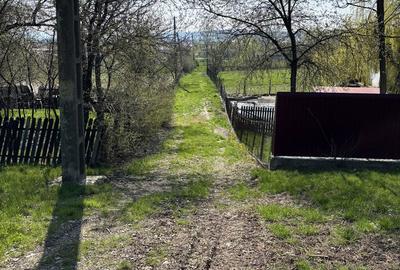 Spațiu comercial, în Cucorăni - 4