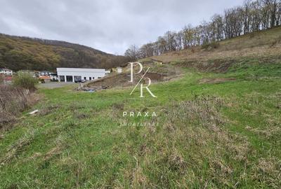 Spațiu comercial, de 565 mp, în Florești - 2