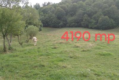 Spațiu comercial, în Scrind-Frăsinet - 3