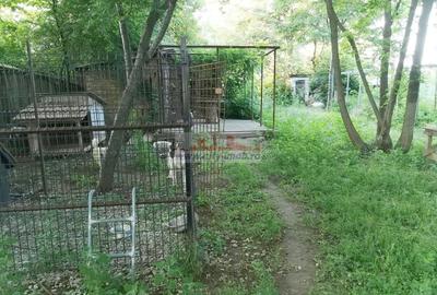 Vanzare casa conslidata Silistea Snagovului Com. Gruiu, Ilfov Snagov - 38