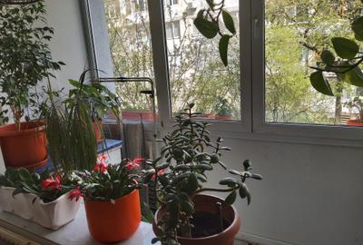 Apartament cu 3 camere semidecomandat în Giurgiului - 1