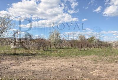 Spațiu comercial, în Sopor