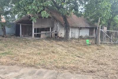 Casă cu 3 camere în Sculia - 4