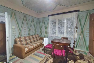 Casă cu 5 camere cu Teren 4122 Mp în Cociuba Mare - 20