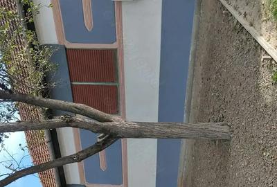 Casa la sat , Cladova ,Timi? . - 1