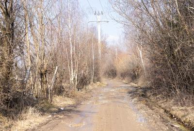 Teren Construcții intravilan de 5967 mp, în Sohodol - 14