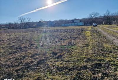 Spațiu comercial, în Sărata - 3