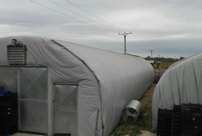 Spațiu comercial, de 500 mp, în Stoina - 9
