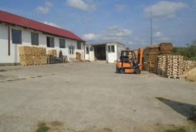 Depozit depozite hala Bacau Magura - 2