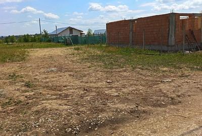 Teren de 550 mp, în Paleu - 1