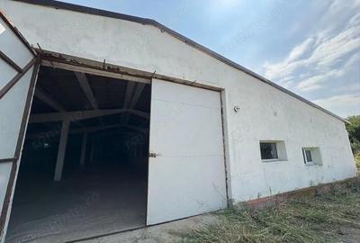 Spațiu comercial, de 200 mp, în Siliștea Snagovului - 5