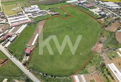 Teren intravilan de vanzare I 95.000 m² I Baleni-Romani I Comision 0% - 3