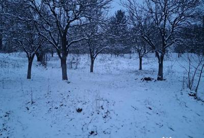 Teren de 5950 mp, în Scorțeni - 10